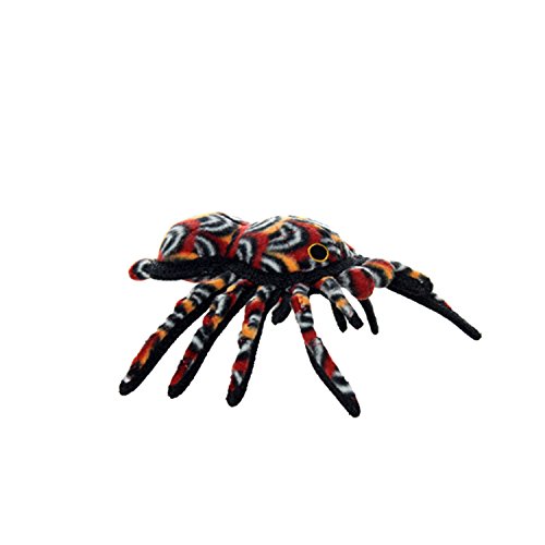 Tuffy Desert Tarantula