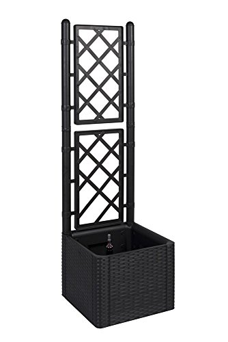 Rankgitter, Spalier mit Pflanzkasten in Rattan-Design aus robustem Kunststoff in Anthrazit/Grau. Maße BxTxH in cm: 43 x 43 x 142 cm. Topp für Garten, Terrasse und Balkon!