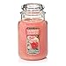 Yankee Candle Sun-Drenched Apricot Rose Scented, Classic 22oz Large Jar Single Wick Candle, Over 110 Hours of Burn Time