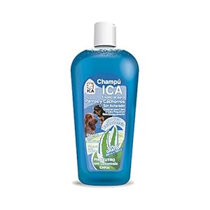 ICA CHP34 Champú con Aloe Vera para Perros Lavado en Seco