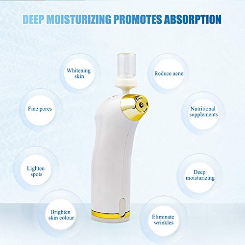 Water Oxygen Machine - Portable Micro-nano Moisturizing Oxygen Injection Sprayer,Moisturizing Cleaning Pores clear blackheads Acne Facial Care Sauna Spa Beauty Skin Rejuvenation Instrument