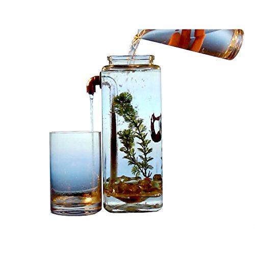 buy useful gifts from amazon related to Pet Supplies most popular gift items that are Aquariums, cool items