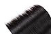 ZILING Glueless 5X5 Straight Lace Front Closure Wigs Brazilian Human Hair Lace Front Wigs For Black Women Pre Plucked With Elastic Bands