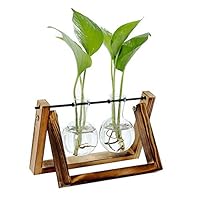 Tiakino Planter Vase, Hydroponic Glass Planter Bulb Vase with Wooden Stand Tray Tabletop Desk for Hydroponics Plants Home Garden Wedding Decor