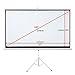Projector Screen, Auledio Portable 100