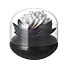 Bloss Cotton Swab Holder Cute Lotus Q-Tips Storage Organizer Bathroom Decorative Organizer, Black
