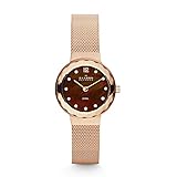 Skagen Women's 456SRR1 Leonora Rose Gold Mesh Watch
