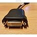 HP DisplayPort to DVI Adapter Cable