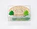 Yalis 12 Pcs Decorative Push Pins, Green Leaves Creative Thumbtacks for Home or Office Whiteboard, Corkboard, Wall Holding Photo and Paper or Decoration