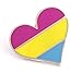 Compoco Pansexual pin Pride LGBTQ Gay Heart Flag an Enamel Lapel pin for pan Community