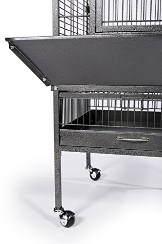 image for Prevue Hendryx Prevue Pet Products Wrought Iron Select Bird Cage Black