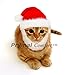 Prymal Comfort Santa Dog Cat Costume