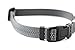 Mighty Paw Dog Collar - High Visibility - Reflective Stitching - Adjustable Dog Collar with Buckle - Durable Dog Collar - Premium Puppy Collar - Suitable for All Dog Sizes - Personalized Dog Collars