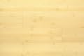 One Piece Of 8" Sample For AMERIQUE Premium Horizontal Natural Solid Bamboo Flooring