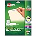 Avery Removable White File Folder Labels, 750 Pack (8066) primary