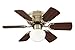 Westinghouse 78603 Petite 6-Blade 30-Inch 3-Speed Hugger-Style Ceiling Fan with Light, Antique Brass