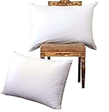 NP Luxury Goose Down Pillow(2-Pack,Queen,Soft) 100% Egyptian Cotton Cover,1200 Thread Count,Bed Pillows for Sleeping,Hypoallergenic