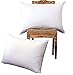 NP Luxury Goose Down Pillow(2-Pack,Queen,Soft) 100% Egyptian Cotton Cover,1200 Thread Count,Bed Pillows for Sleeping,Hypoallergenic