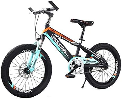 20 inch wheel kids bike