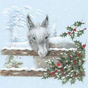 Medici Cards Pack of 6 Charity Christmas Cards (MED-CHMT0001K) - Little Donkey and Robin - Sold in Aid of Marie Curie, Alzheimer's Society, MS Trust, Shelter, Parkinson's UK and Oxfam