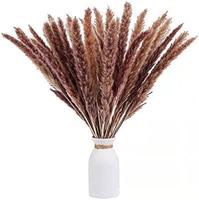NEOCCAHZ Indoor Plant Natural Grass Reed Dried Flower Free Shipping ...