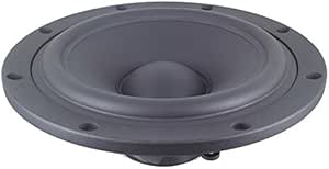 sb acoustics passive radiator