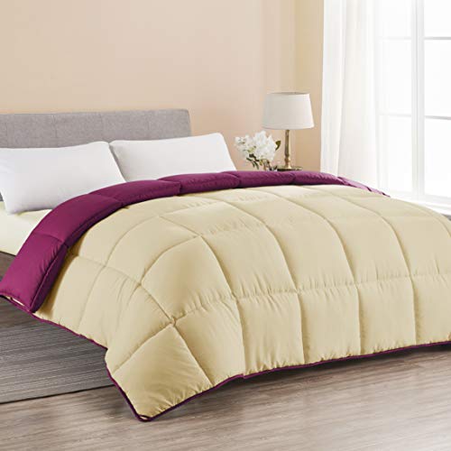 Seward-Park-Down-Alternative-Quilted-Comforter-Hypoallergenic-Box-Stitched-Plush-Microfiber-Fill-Duvet-Insert-or-Stand-Alone-Spring-or-Summer-Comforter-BurgundyWheat-Twin