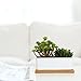 MyGift Ceramic Plant Container with Bamboo Saucer/Succulent Planter Pot, White