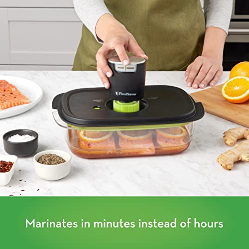 FoodSaver FS2160 MultiUse Handheld Vacuum Sealer And Marinator