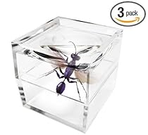 MagniPros Pack of 3 Magnifier Box Bug Viewer Magnifies up to 5X(500%)