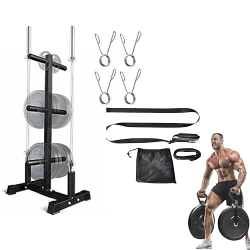 Yes4All 6-Pegs Olympic Weight Plate & 2 Barbells - Weight Plate Tree Holder & Vertical Barbell Storage Rack
