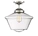 Aeiniweraabbcc XGATML Trade Winds Lighting TW60051PN 1-Light Transitional Schoolhouse Semi-Flush Mount Ceiling Light with Clear Glass, 100 Watts, in Polished Nickel