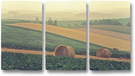 Artwork "Grass roll on patchwork field at sunset" x3c art panel printed on Japanese traditional paper "WASHI", gifts of beautiful wall decor deco decorations as landscape photography posters prints