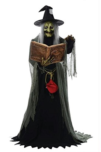 Costumes for all Occasions MR124250 Spell-speaking Witch Animated