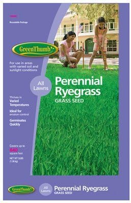GT 3LB Peren Rye Seed