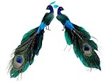 Set of 2 Regal Peacock Feathered Peacock Christmas Ornaments 1.25