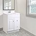 Design House 545004 Wyndham Ready-To-Assemble 1 Door/2 Drawer Vanity, White, 24-Inches Wide by 31.5-Inches Tall by 18-Inches Deep