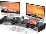 LORYERGO Dual Monitor Stand - Monitor Stand