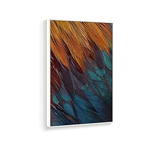 Framed Canvas Wall Art for Living Room, Bedroom Beautiful Features Canvas Prints for Home Decoration Ready to Hanging - 16x24 inches