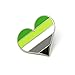 Aromantic Pride Pin Flag LGBTQ Gay Heart ARO Community Lapel Pin