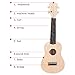 21 inch Ukulele DIY Kit Set, Lindenwood Body Neck Bridge Fretboard Ukulele Crafts for Learning Children's Gift