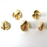 パクリ　白　5個入り　【実】【ドライ】【木の実】