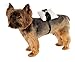 Rubies Pet/Dog Ring Bearer Pillow