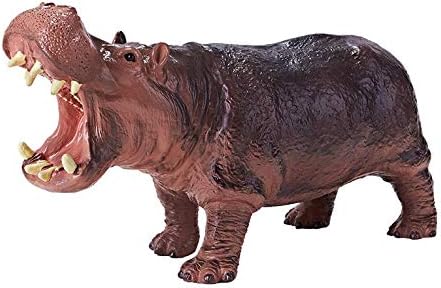 RECUR Hippo River Horse Wildlife Hippo 