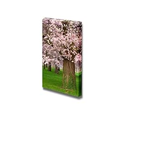 Canvas Prints Wall Art - A Beautiful Cherry Garden in Spring | Modern Wall Decor/Home Decoration Stretched Gallery Canvas Wrap Giclee Print. Ready to Hang - 12" x 18"