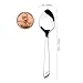 Demitasse Espresso Spoons Stainless Steel Coffee Spoons for Home, Cafe, Restaurant, Set of 12, Thanksgiving Gift