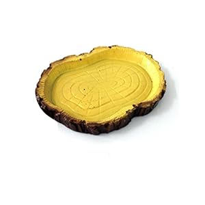 Alimentazione Rettile Resina Acqua Alimento Ciotola Piatto Pet Vivaio Tartaruga Geco Serpente