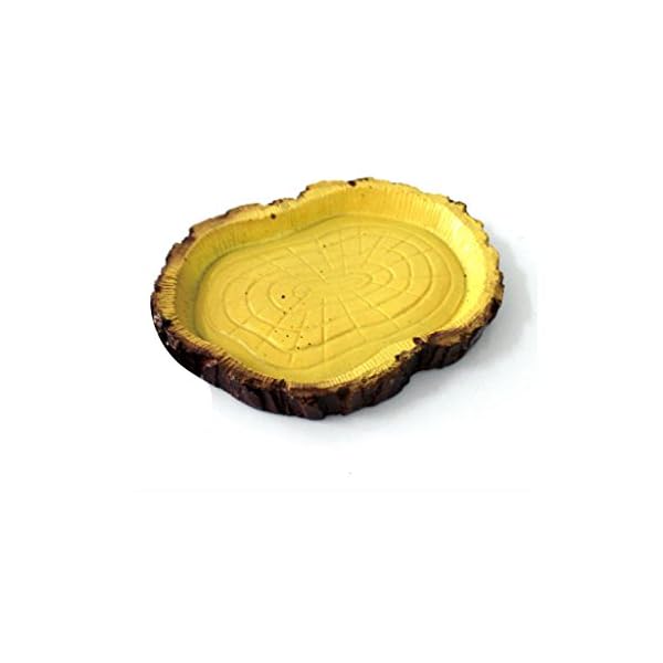 Alimentazione Rettile Resina Acqua Alimento Ciotola Piatto Pet Vivaio Tartaruga Geco Serpente