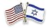 American Flag x Israel Flag Enamel Lapel Pin (1 Pin)