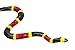 Safari Ltd. Coral Snake Figurine - Detailed 23